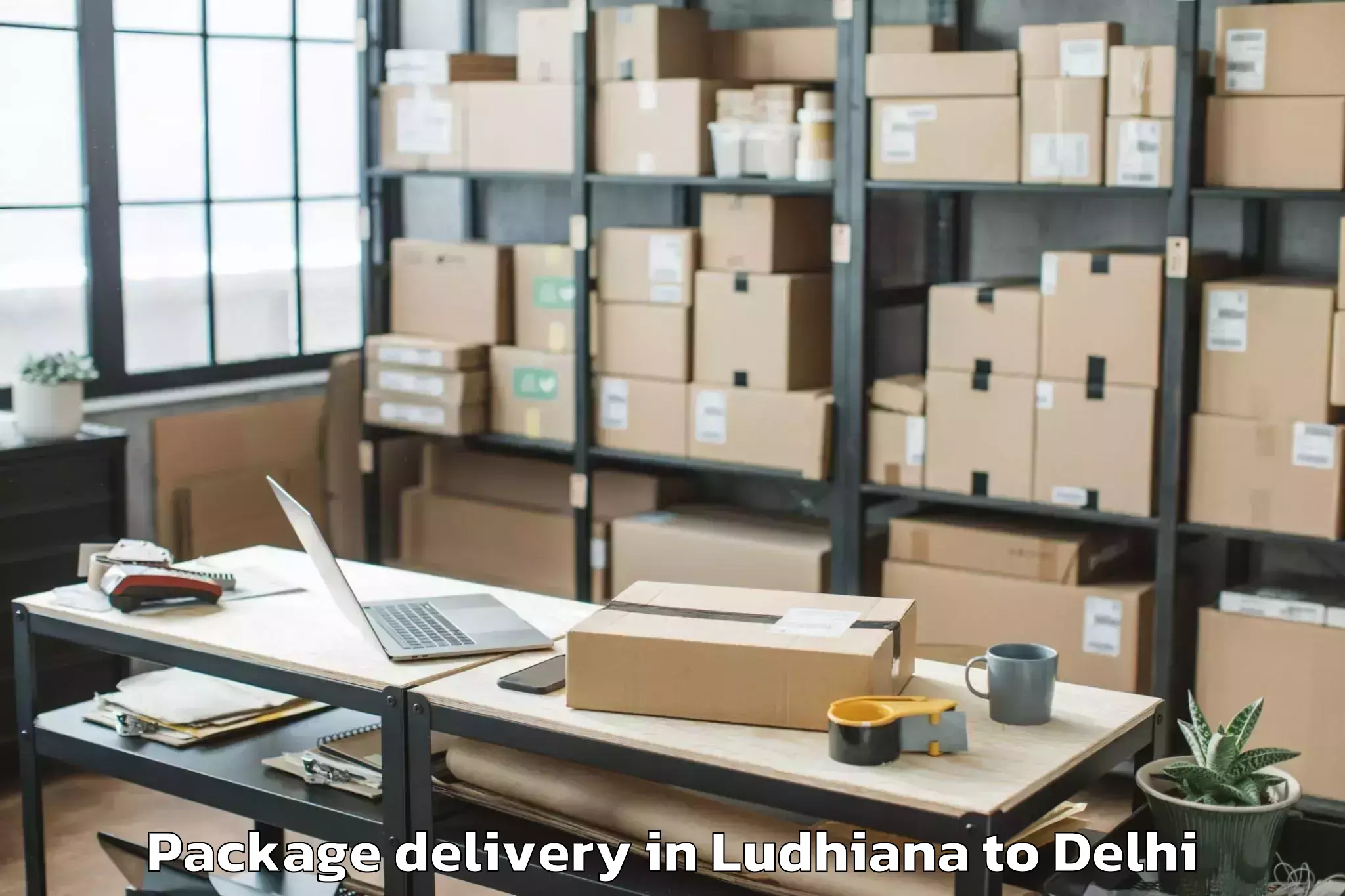 Book Ludhiana to Burari Package Delivery Online